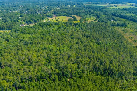 20 Acres Of Secluded Woods In North Florida - image 25