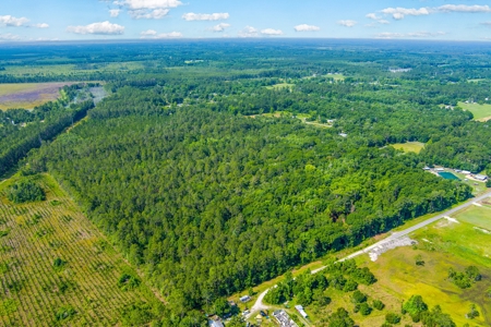 20 Acres Of Secluded Woods In North Florida - image 24