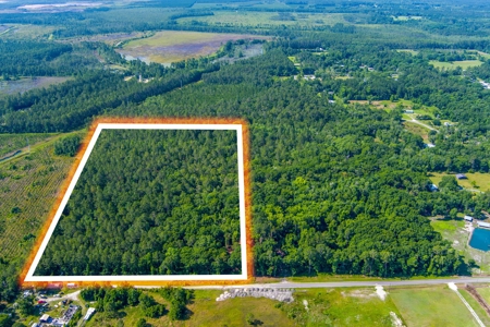 20 Acres Of Secluded Woods In North Florida - image 22