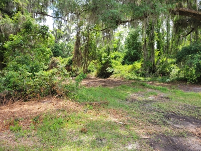 20 Acres Of Secluded Woods In North Florida - image 8