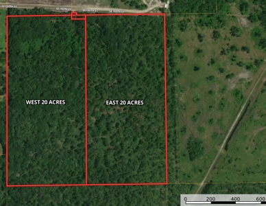 20 Acres Of Secluded Woods In North Florida - image 21