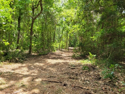 20 Acres Of Secluded Woods In North Florida - image 13