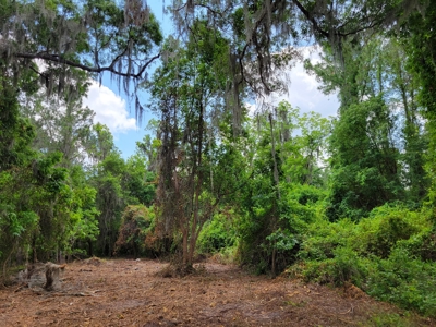 20 Acres Of Secluded Woods In North Florida - image 12