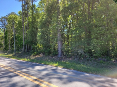 20 Acres Of Secluded Woods In North Florida - image 11