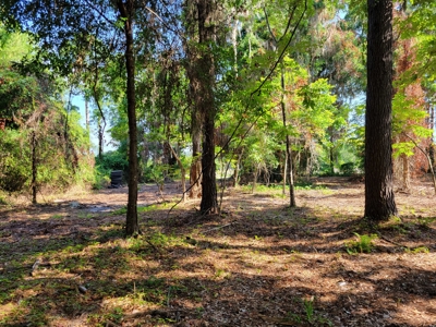 20 Acres Of Secluded Woods In North Florida - image 23