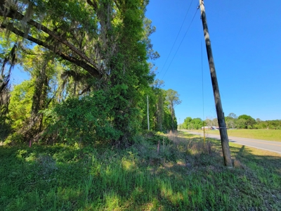 20 Acres Of Secluded Woods In North Florida - image 15