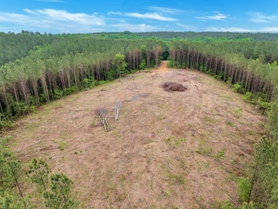 Land for Sale in Lewis County, Tennessee - image 18