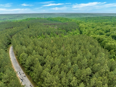 Land for Sale in Lewis County, Tennessee - image 25