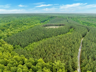 Land for Sale in Lewis County, Tennessee - image 14