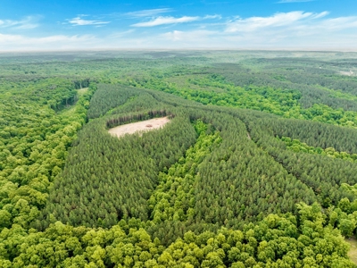 Land for Sale in Lewis County, Tennessee - image 13