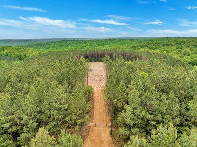 Land for Sale in Lewis County, Tennessee - image 20