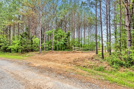 Land for Sale in Lewis County, Tennessee - image 10