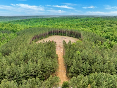 Land for Sale in Lewis County, Tennessee - image 19