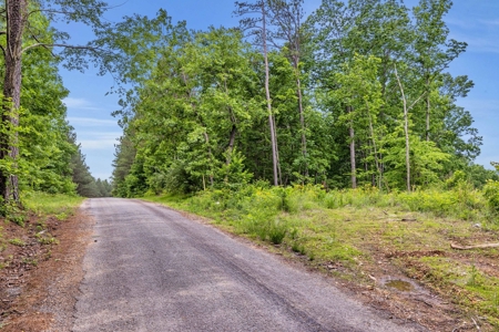 Land for Sale in Lewis County, Tennessee - image 7
