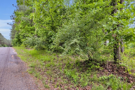 Land for Sale in Lewis County, Tennessee - image 8