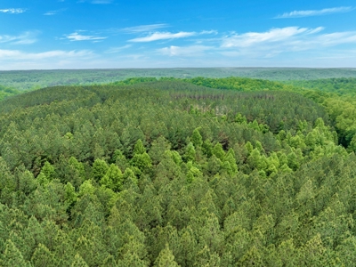 Land for Sale in Lewis County, Tennessee - image 26