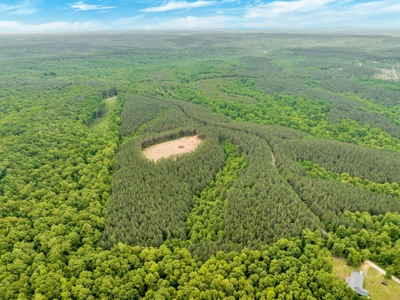 Land for Sale in Lewis County, Tennessee - image 12