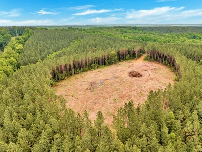 Land for Sale in Lewis County, Tennessee - image 17