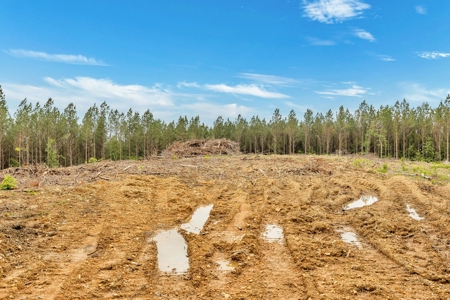 Land for Sale in Lewis County, Tennessee - image 4