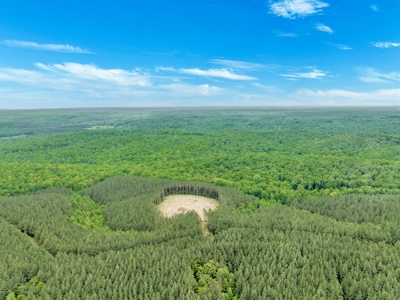Land for Sale in Lewis County, Tennessee - image 28