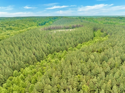 Land for Sale in Lewis County, Tennessee - image 15