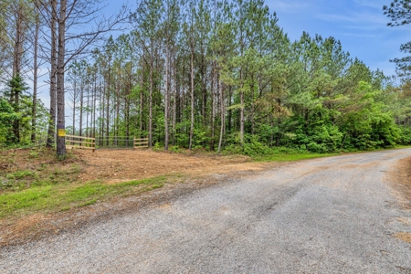 Land for Sale in Lewis County, Tennessee - image 9