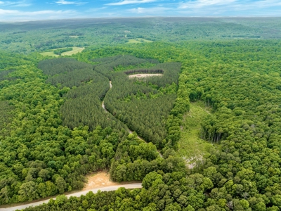 Land for Sale in Lewis County, Tennessee - image 23