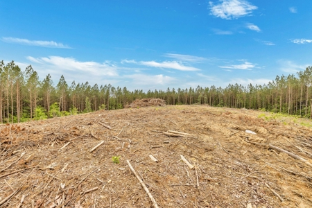 Land for Sale in Lewis County, Tennessee - image 5
