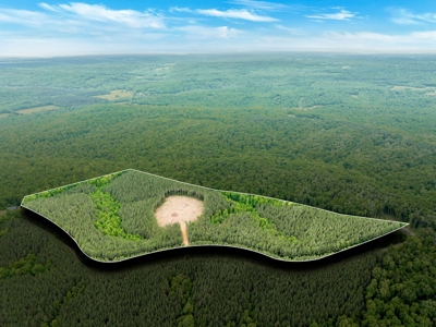 Land for Sale in Lewis County, Tennessee - image 29
