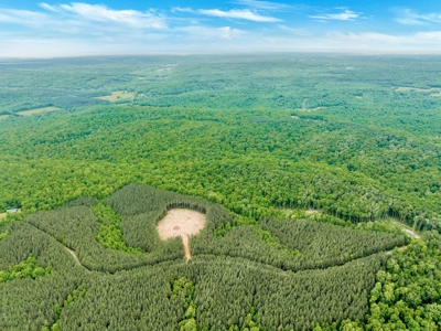 Land for Sale in Lewis County, Tennessee - image 30