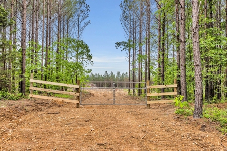 Land for Sale in Lewis County, Tennessee - image 1