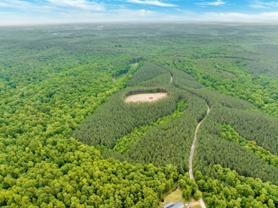 Land for Sale in Lewis County, Tennessee - image 11