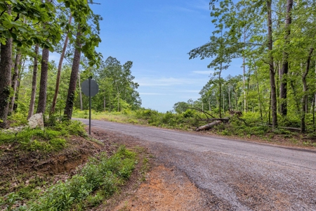 Land for Sale in Lewis County, Tennessee - image 6