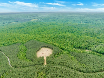 Land for Sale in Lewis County, Tennessee - image 27