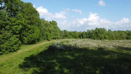 Land For Sale - image 27