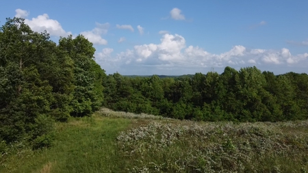 Land For Sale - image 23