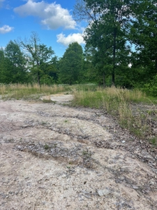 Land For Sale - image 12