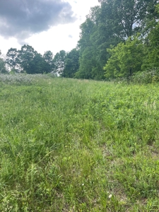 Land For Sale - image 6