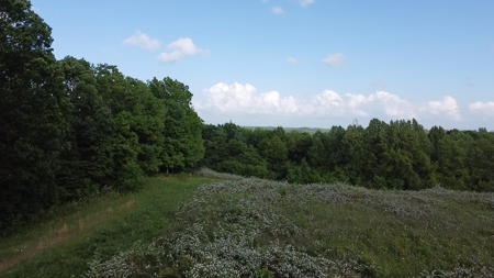 Land For Sale - image 22