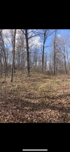 Land For Sale - image 7