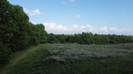 Land For Sale - image 25