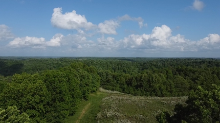 Land For Sale - image 29