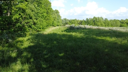 Land For Sale - image 32
