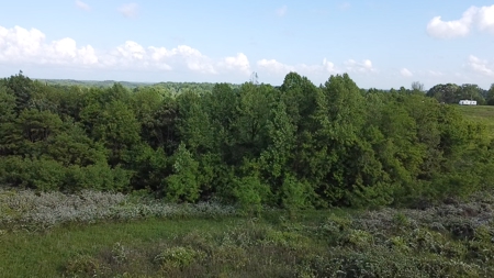 Land For Sale - image 20