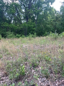 Land For Sale - image 17