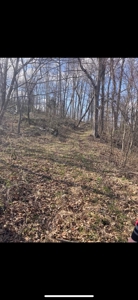 Land For Sale - image 4