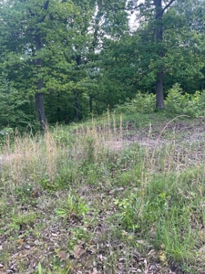 Land For Sale - image 14