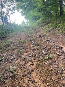 Land For Sale - image 10