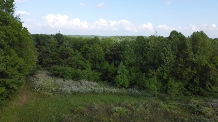 Land For Sale - image 18
