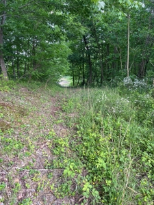 Land For Sale - image 19